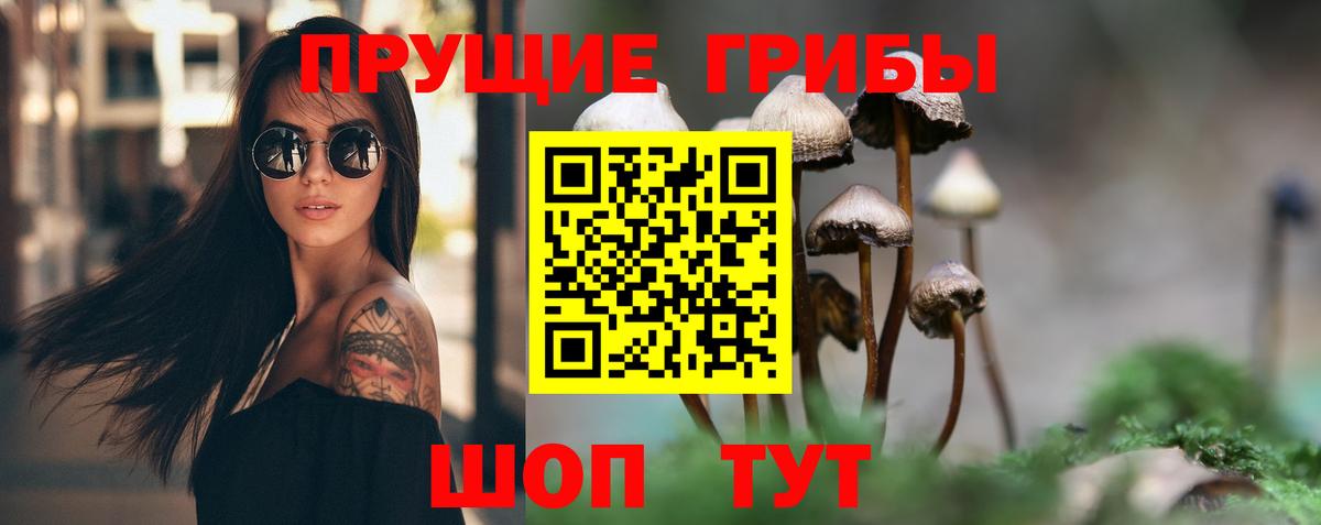 Галлюциногенные грибы мицелий Обнинск